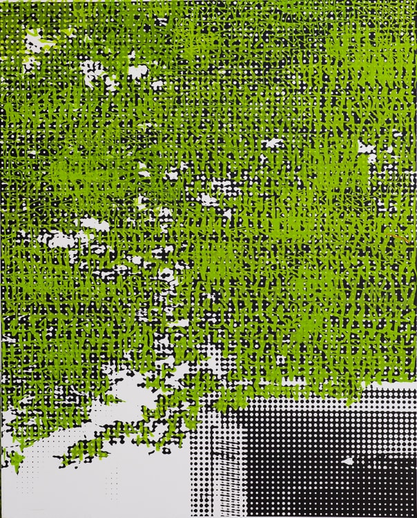 2013-6-1-100×80-les jardins-fragment 1-impression et acrylique sur toile-DominiqueDORLA-Saint Leu-ile de la Réunion